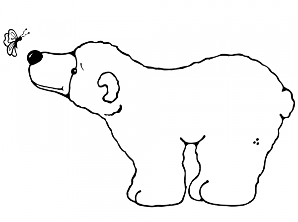 Polar Bear with Butterfly coloring page image