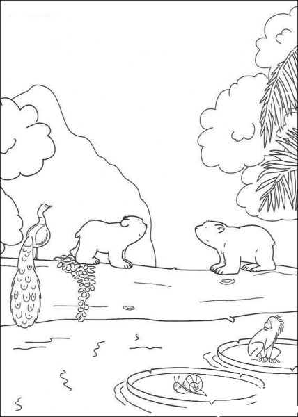 Polar Bears coloring page image