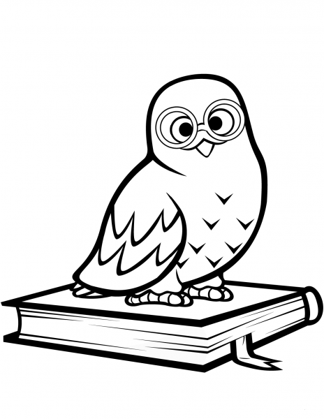 Polar Owl Sitting on a Book coloring page image