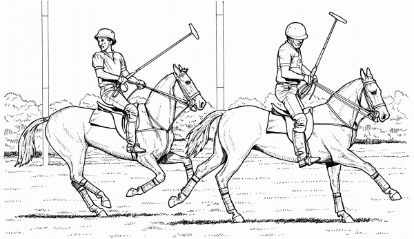 Polo Match coloring page image
