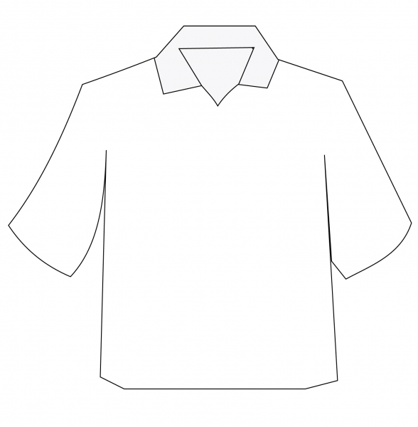 Polo T-Shirt coloring page image
