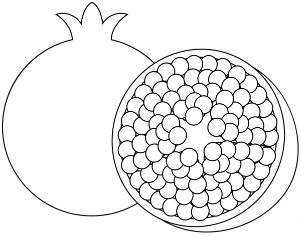 Pomegranate coloring page image