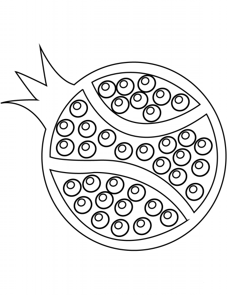 Pomegranate coloring page image