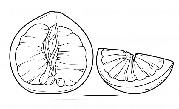Pomelo Sliced Open coloring page image