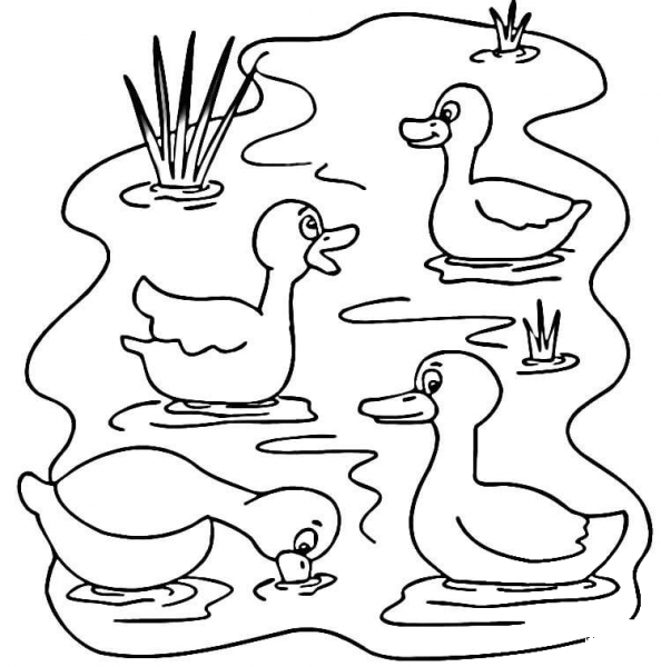 Pond Animals  coloring page image