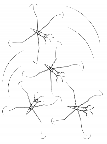 Pond Skaters coloring page image