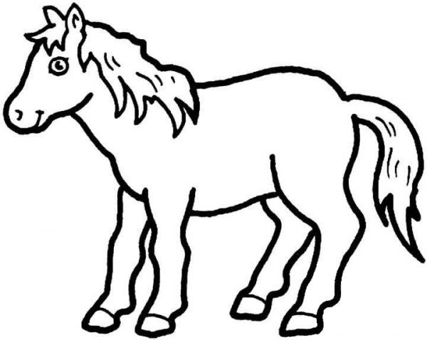 Pony  coloring page image