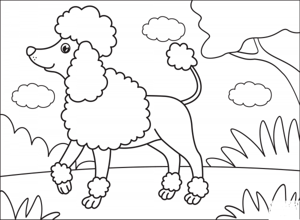 Poodle coloring page image