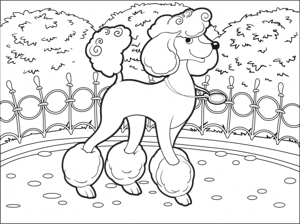 Poodle coloring page image