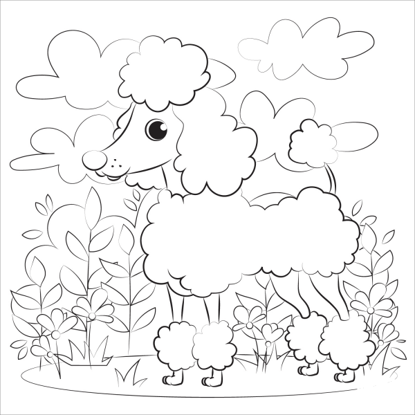 Poodle coloring page image