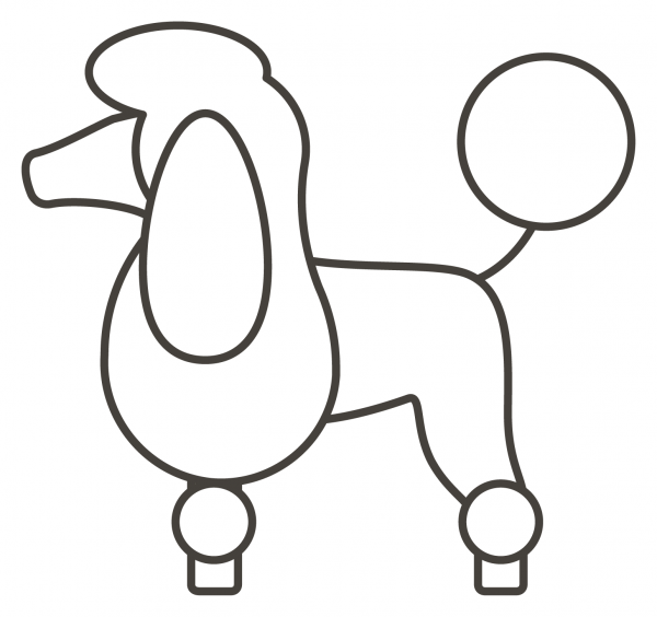 Poodle coloring page image