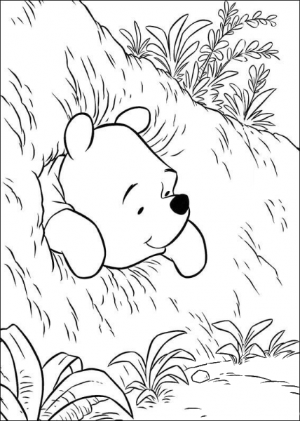 Pooh Is In The Hole  coloring page image