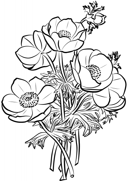 Poppies Bouquet coloring page image