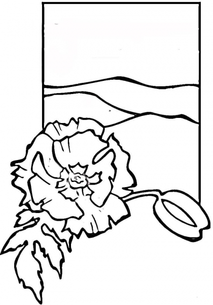 Poppy  coloring page image