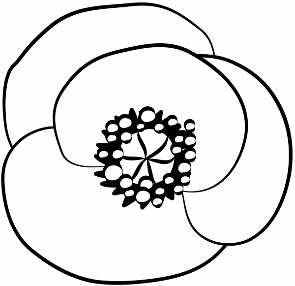 Poppy coloring page image
