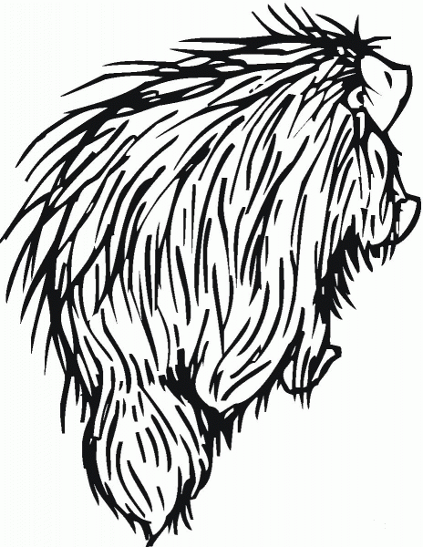 Porcupine 8 coloring page image