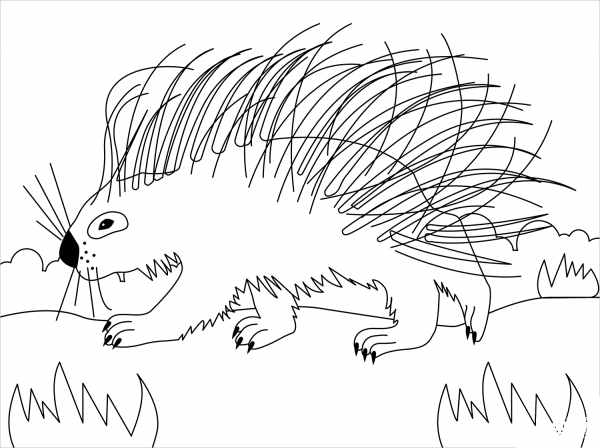 Porcupine coloring page image