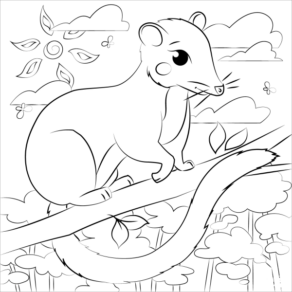 Possum coloring page image