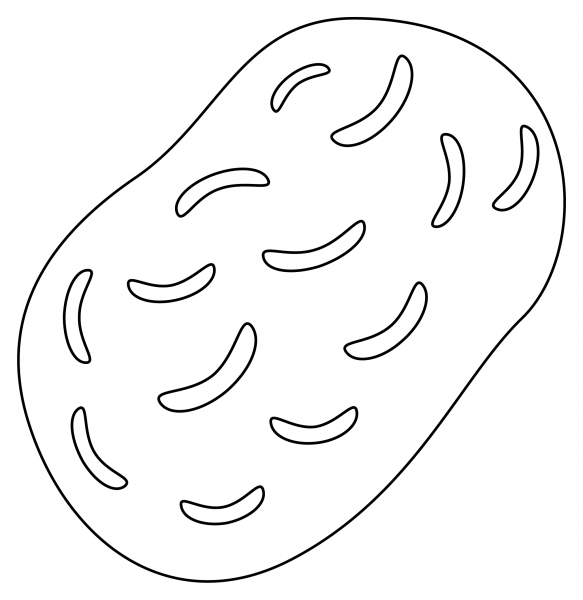Potato coloring page image