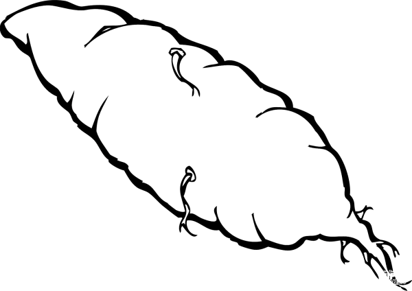 Potato coloring page image