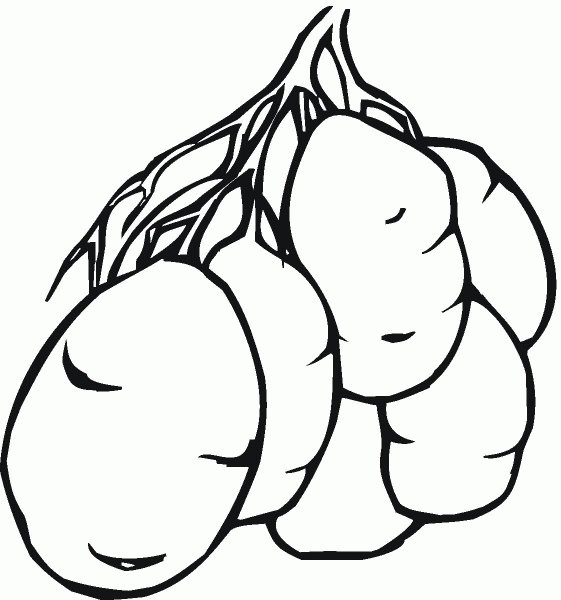 Potatos coloring page image