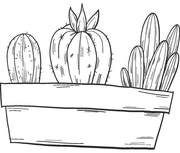 Potted Cactuses coloring page image