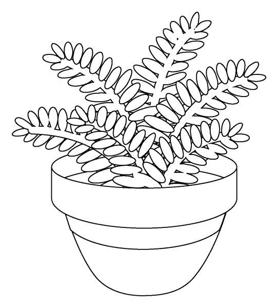 Potted Plant Emoji coloring page image