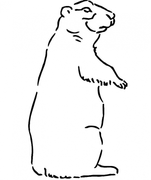 Prairie Dog  coloring page image
