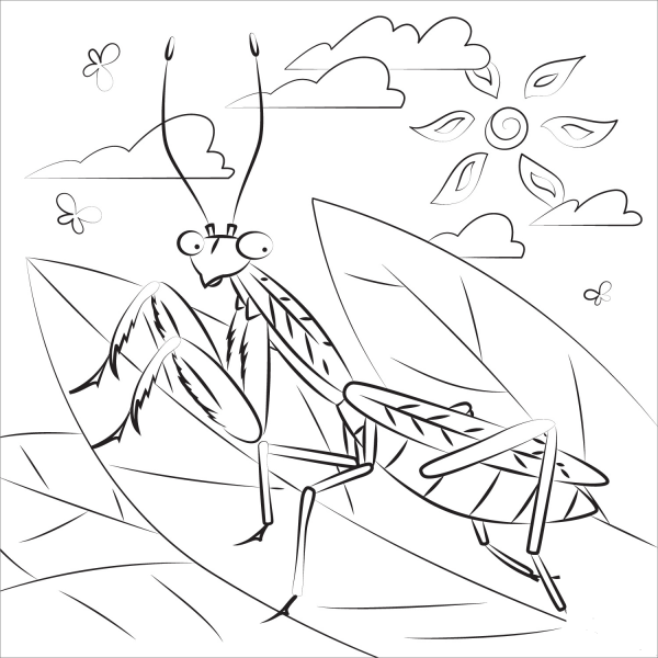 Praying Mantis coloring page image