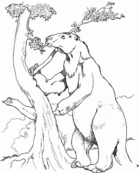Prehistoric Giant Ground Sloth coloring page image