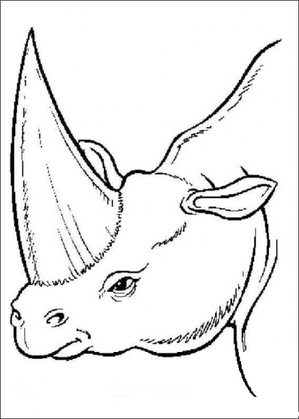 Prehistoric rhino coloring page image
