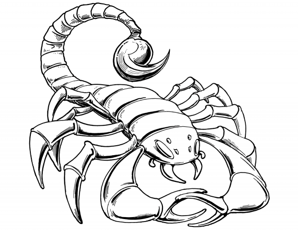 Prehistoric Scorpion coloring page image