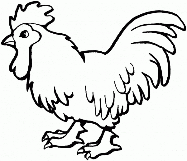 Proud Rooster coloring page image