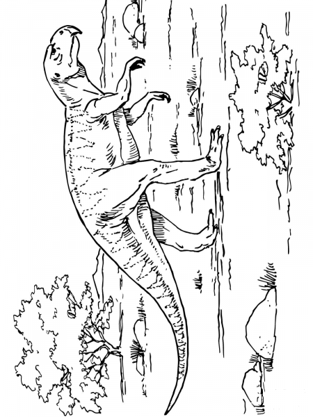 Psittacosaurus Ceratopsian Dinosaur coloring page image