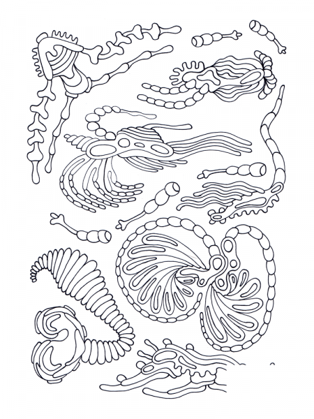 Psychedelic Pattern coloring page image