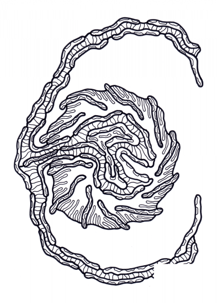 Psychedelic Pattern coloring page image