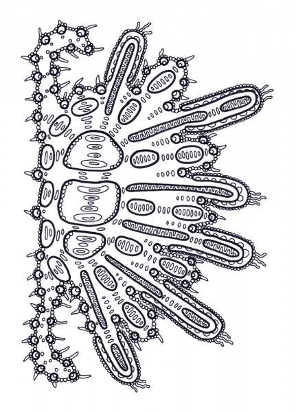 Psychedelic Pattern coloring page image