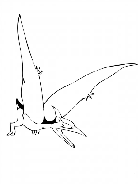 Pteranodon coloring page image
