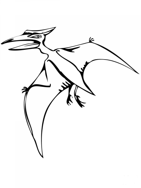 Pteranodon Flying Reptile coloring page image