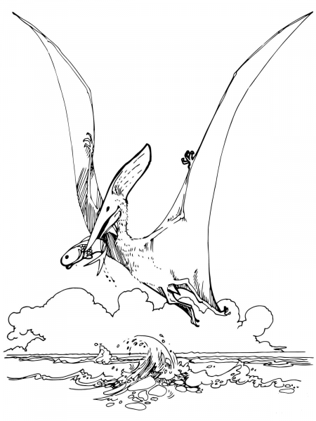 Pteranodon Pterosaur coloring page image