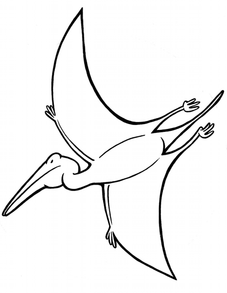 Pterodactyl coloring page image