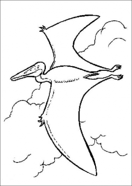 Pterodactyl is Flying  coloring page image