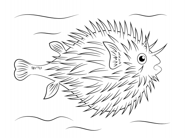 Puffer Fish coloring page image