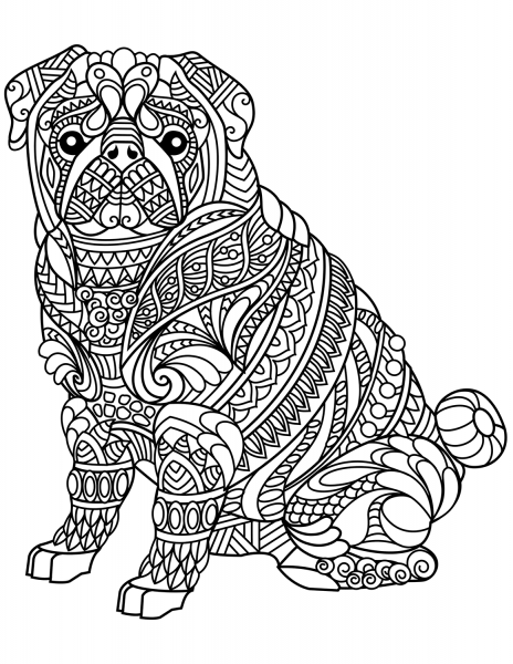 Pug Dog Zentangle coloring page image