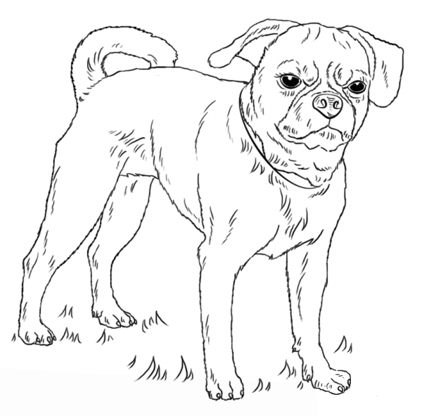 Puggle coloring page image