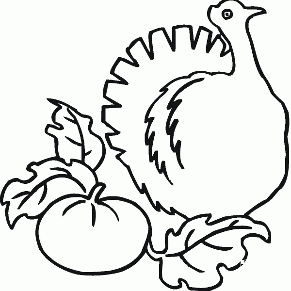 Pumpkin and Turkey  coloring page image