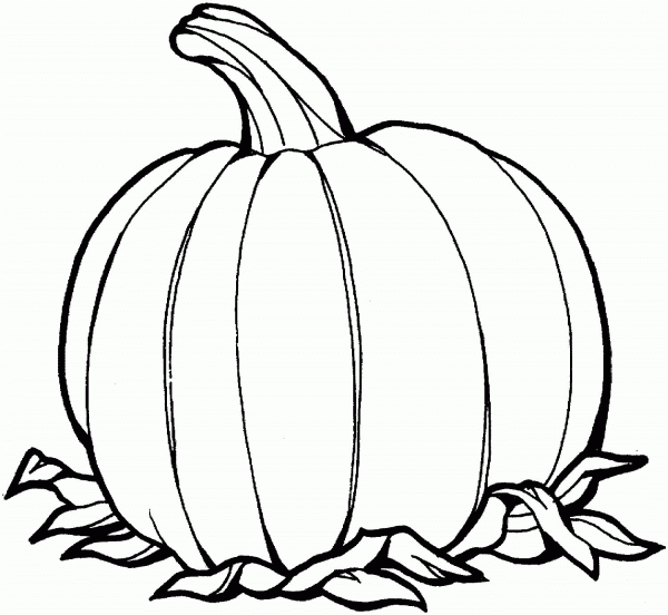Pumpkin coloring page image