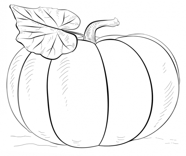 Pumpkin coloring page image