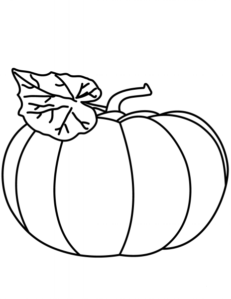 Pumpkin coloring page image