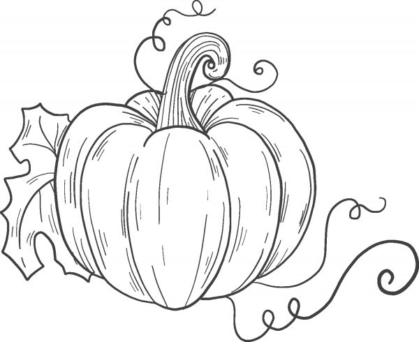 Pumpkin coloring page image